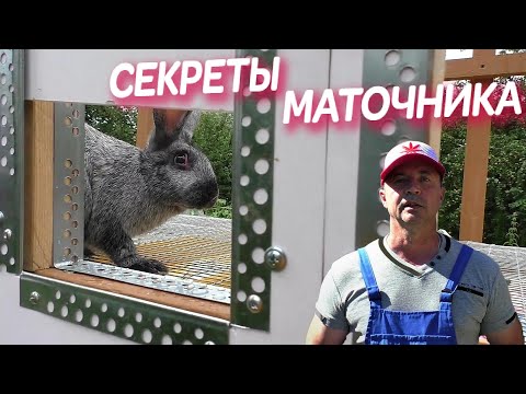 Видео: КРОЛИКИ КЛЕТКИ СТРОИМ МАТОЧНИК ДЛЯ КРОЛЬЧИХ Пошаговая постройка  Кролики содержание и разведение