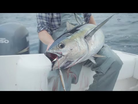Видео: Ловля желтопёрого тунца на джиг | К югу от острова Мартас-Винъярд | Телеканал Salty Cape: S2023, E8