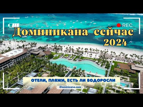 Видео: Доминикана сейчас 2024: отели, пляжи, есть ли водоросли - iDominicana.com
