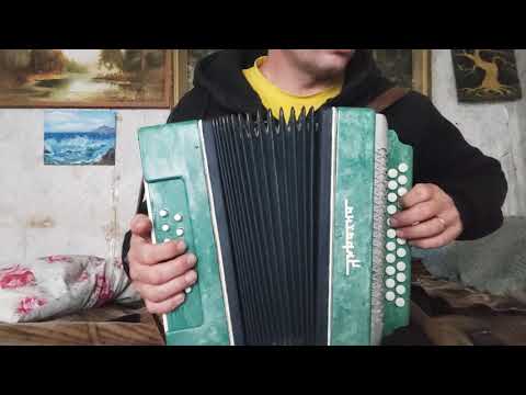 Видео: 9 ноября 2025 г.