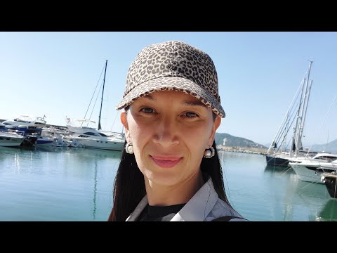 Видео: День сурка загнанной лошади