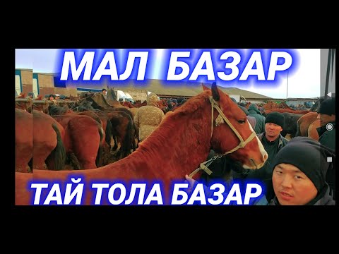 Видео: САРЫАҒАШ МАЛ БАЗАРЫ | ЖЫЛҚЫ БАҒАСЫ | livestock market | 가축 시장 ,말 시장