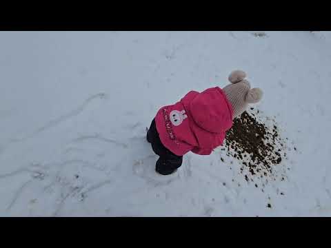 Видео: ЭКСКУРСИЯ ПО БОРОВОМУ/ИСТОРИЯ КАЗАХСТАНА /ПЛОХО СЛЫШНО/МУЗЕЙ В БОРОВОМ/НОЯБРЬ 2025Г 