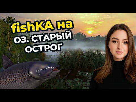 Видео: 🏆 ОХОТА за ЧЕРНЫМ АМУРОМ на ОСТРОГЕ┃Русская Рыбалка 4 (РР4)