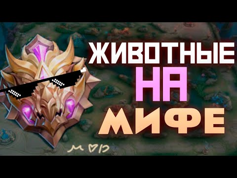 Видео: В МИРЕ ЖИВОТНЫХ. ОНИ УМЕЮТ ИГРАТЬ? В MOBILE LEGENDS МОБАЙЛ ЛЕГЕНД