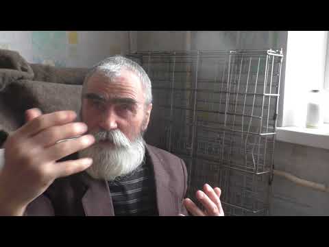 Видео: Василий: "Подь ты к чёмеру!"