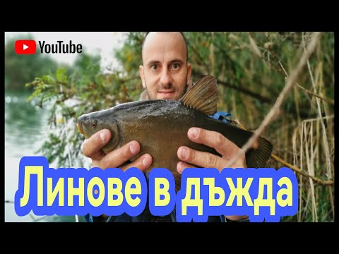 Видео: ЛИНОВЕ И КОСТУРИ В ДЪЖДА НА ПЛУВКА! ЛОВИМ С ЖЕНАТА РИБА ОТ ЛОДКА!