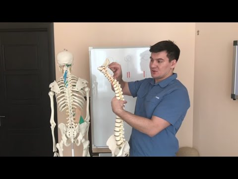 Видео: Как увеличить подвижность шеи. Поворот головы