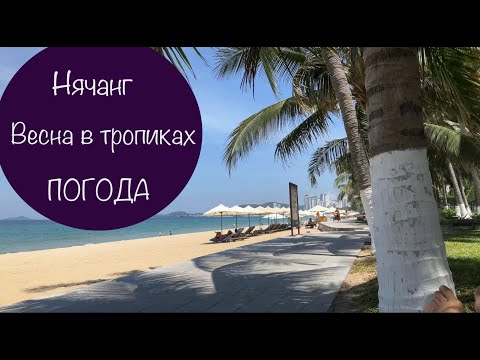 Видео: Нячанг. ПОГОДА март, апрель, май. #личныйопыт #вьетнам