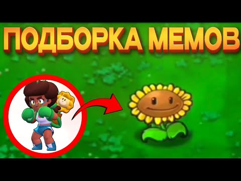 Видео: Подборка мемов по Brawl Stars из TikTok