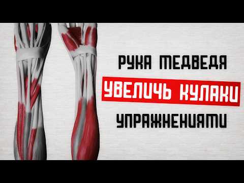 Видео: Кулак как голова: Как увеличить кулаки!