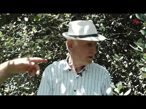 Видео: Анхаҩы. Раули Бганба