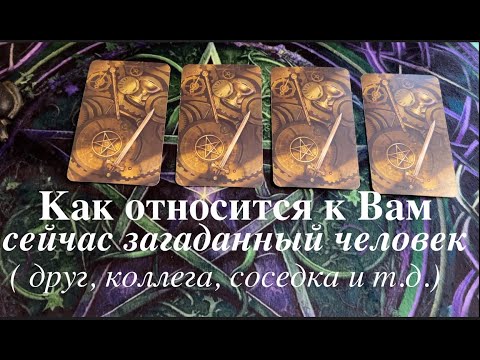 Видео: Как относится к Вам этот загаданный человек🔮Таро онлан