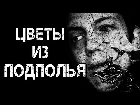 Видео: Страшные истории на ночь | ЦВЕТЫ ИЗ ПОДПОЛЬЯ | Страшилки. Scary Stories. Horror Stories