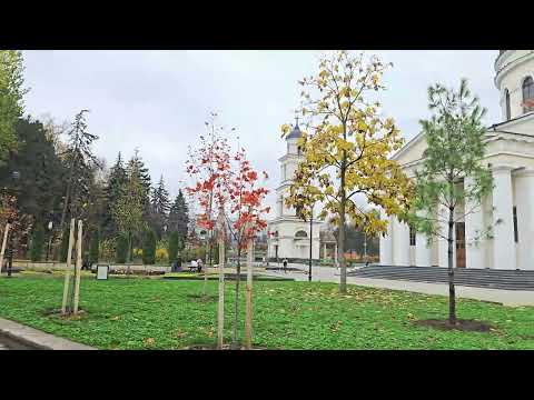 Видео: В соборном парке 10.11.25