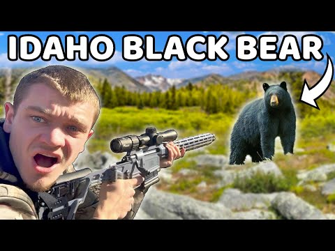Видео: Я впервые охотился на черных медведей!