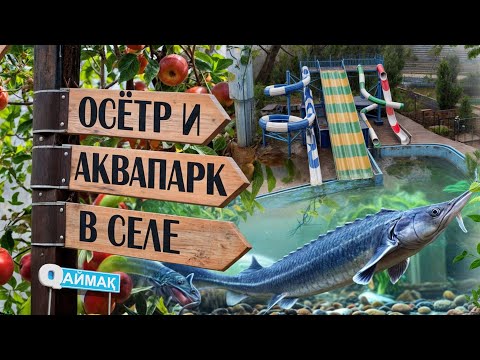 Видео: Qаймақ: село Кереит. Рыбная ферма / аквапарк / как делают сок