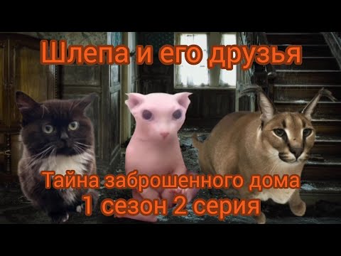 Видео: Шлепа и его друзья 1 сезон 2 серия "Тайна заброшенного дома"