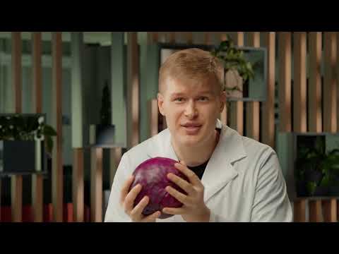 Видео: Індикатори