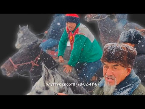 Видео: Кара-дарыя кайнады