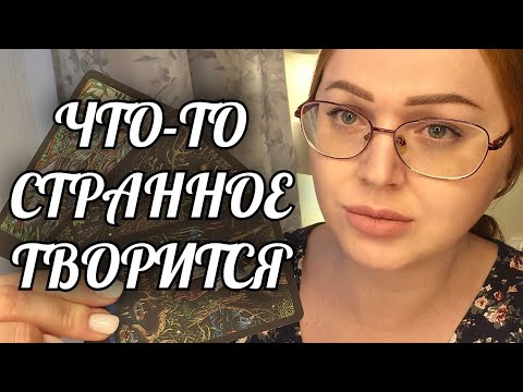 Видео: ВЫ ПРЕДСТАВИТЬ НЕ МОГЛИ❗️ЧТО ТВОРИТСЯ ЗА ВАШЕЙ СПИНОЙ😱