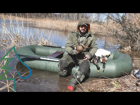 Видео: Охота с подсадной уткой - молчуньей. Работа манком. Природа весны: утки, налёт гусей, бобр и ондатра