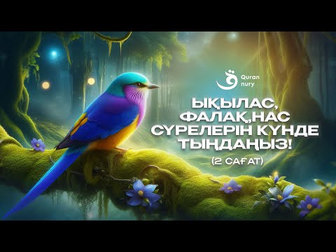 Видео: КҮНДЕ ЫҚЫЛАС, ФАЛАҚ, НАС СҮРЕЛЕРІН ТЫҢДАҢЫЗ! (2 САҒАТ)