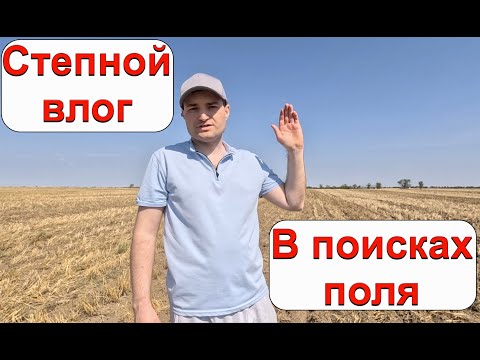 Видео: ВЛОГ. Путешествие по степи в поисках поля