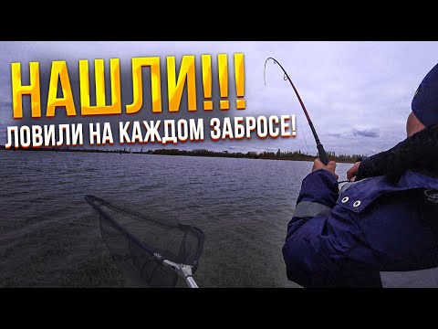 Видео: КЛЮЁТ НА ВСЁ КРОМЕ СИЛИКОНА! Рыбалка на Дону! Рыбалка на судака! РЫБАЛКА В КАЛАЧЕ!