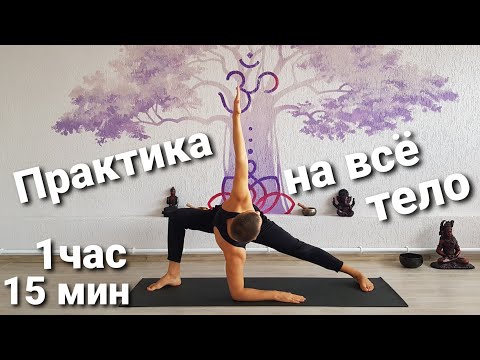 Видео: Практика на всё тело