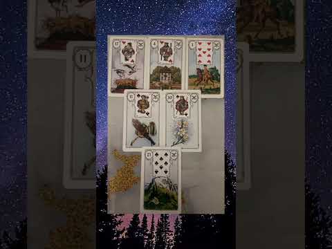 Видео: 7 ноября 2025 г.