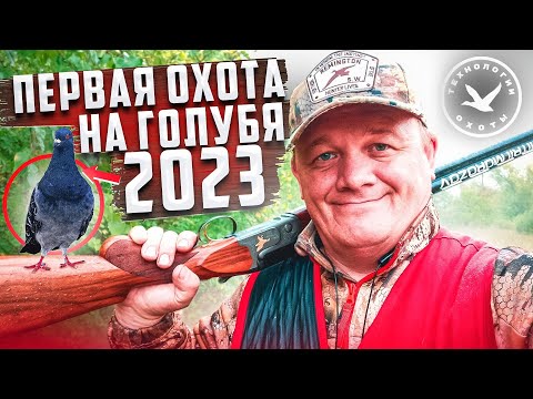 Видео: Первая охота на голубя