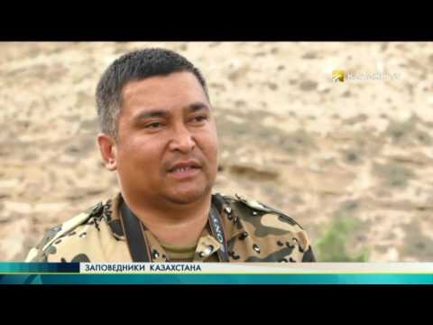 Видео: Устюртский заповедник