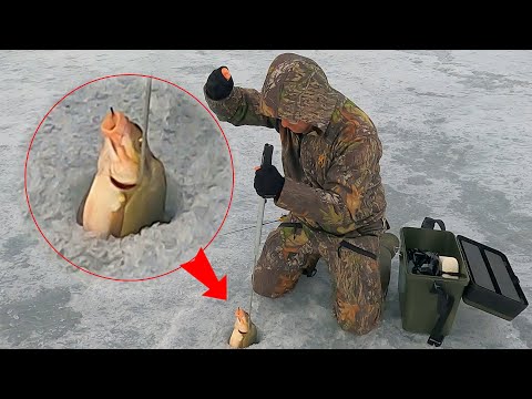 Видео: ТАКИХ РЫБИН ПРОСТО ТАК НЕ ВОЗЬМЁШЬ !!! Ловим лещей на чёртики !!!