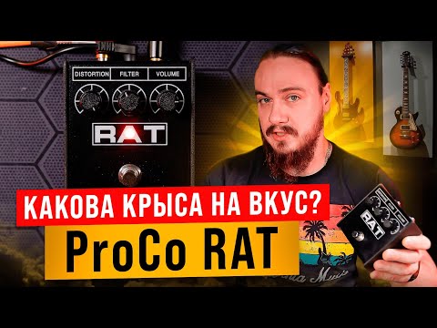 Видео: Какова КРЫСА на ВКУС? ProCo RAT (оригинал + клоны + цифра)