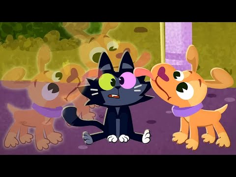 Видео: Побежали! — Чуч-мяуч — Серия 47 — Развивающий волшебный мультик для детей