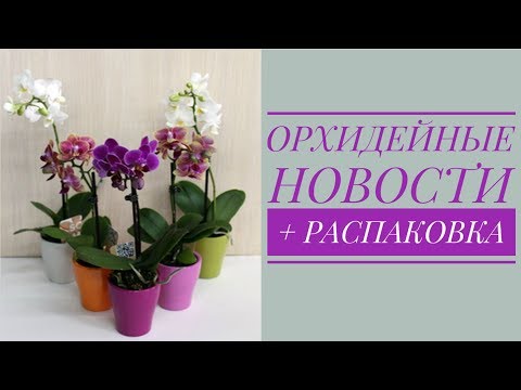 Видео: ОРХИДЕЙНЫЕ НОВОСТИ . Июль 2017 + РАСПАКОВКА посылки с НОВОЙ ОРХИДЕЕЙ