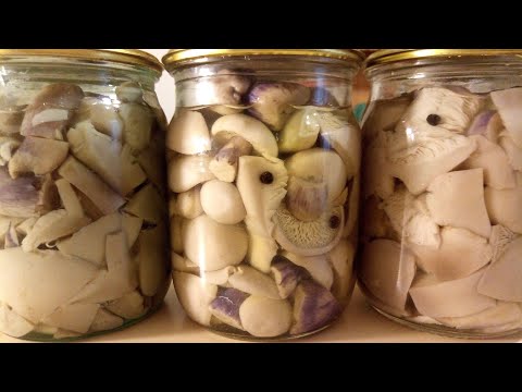 Видео: МАРИНОВАННЫЕ ГРИБЫ. Рецепт ПОДХОДИТ для РАЗНЫХ видов ГРИБОВ. Синеножка.