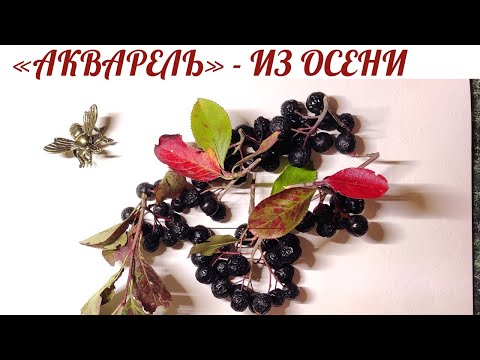 Видео: Акварельная эссенция осени – для вдохновения