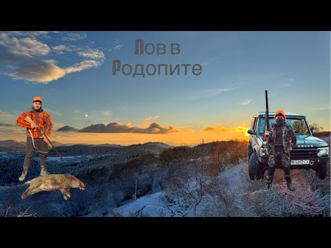 Видео: Лов на диви прасета в източни Родопи🐗wild boar hunting🐗domuz avı🐗#wildboarhunting #Bulgaria#hunter