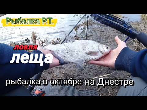 Видео: Осенняя рыбалка на леща. Фидер на реке Днестр. 30-31 октября 2022 года.