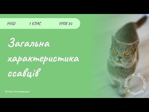 Видео: Загальна характеристика ссавців