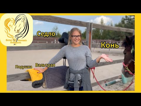 Видео: Как правильно поседлать коня? Моменты на которые нужно обратить внимание. #конюшня