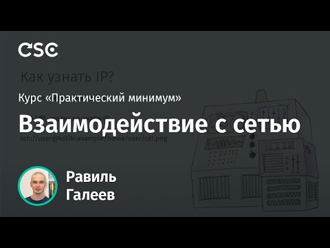 Видео: Лекция 6. Взаимодействие с сетью