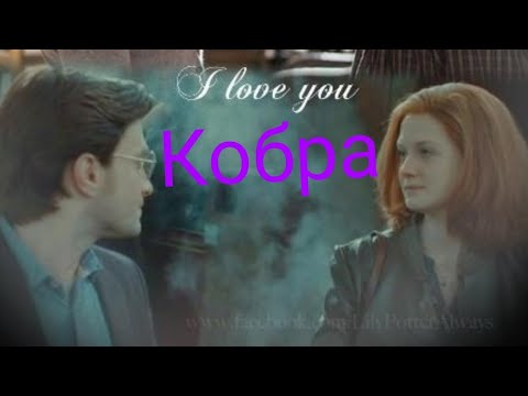 Видео: Песня Кобра про Гарри Поттер и Джинн