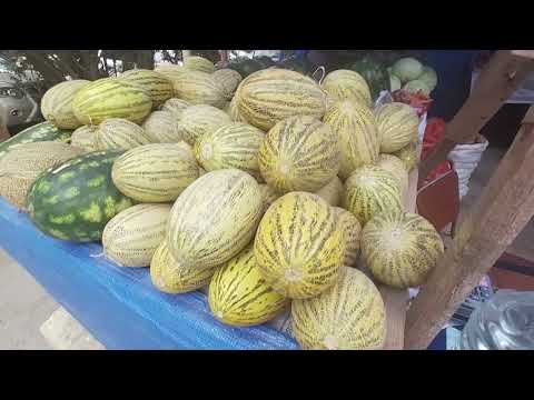 Видео: Баку🍁🍂⛅По просьбе  подписчиков: школа 9 -2 микр."Арзу" дом торжеств -3 микр. #baku #travel #баку