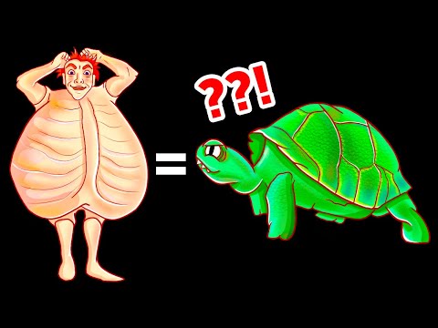 Видео: Самые прочные существа, которым не страшен даже автомобиль!