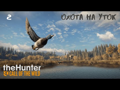 Видео: theHunter Call of the Wild #2 - Охота на Уток в Озерном Крае Лейтон