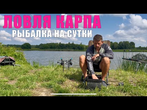 Видео: Как поймать МНОГО карпа на суточной рыбалке? Карпфишинг 2025