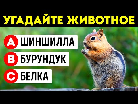 Видео: Если вы наберете 95% баллов, вы заслуживаете пятерки по биологии